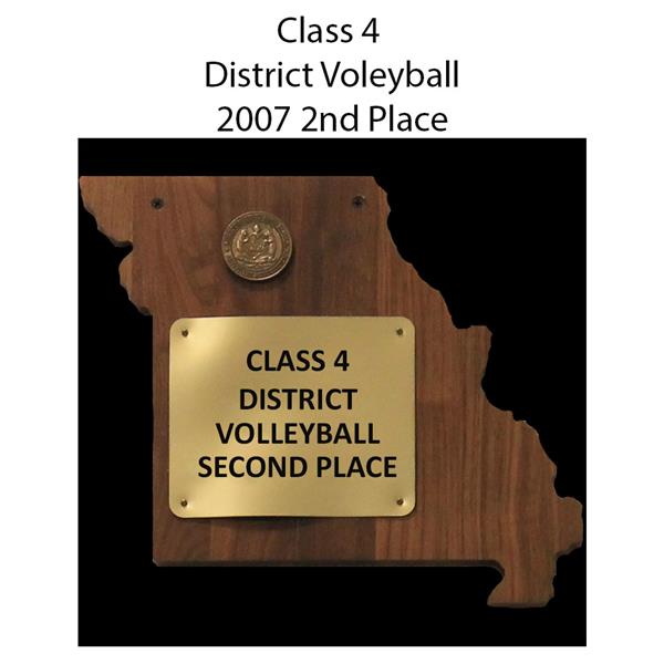 district Voleyball 2007 2nd Place 